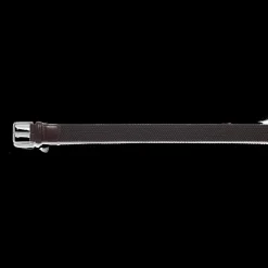 Ceinture Élastique